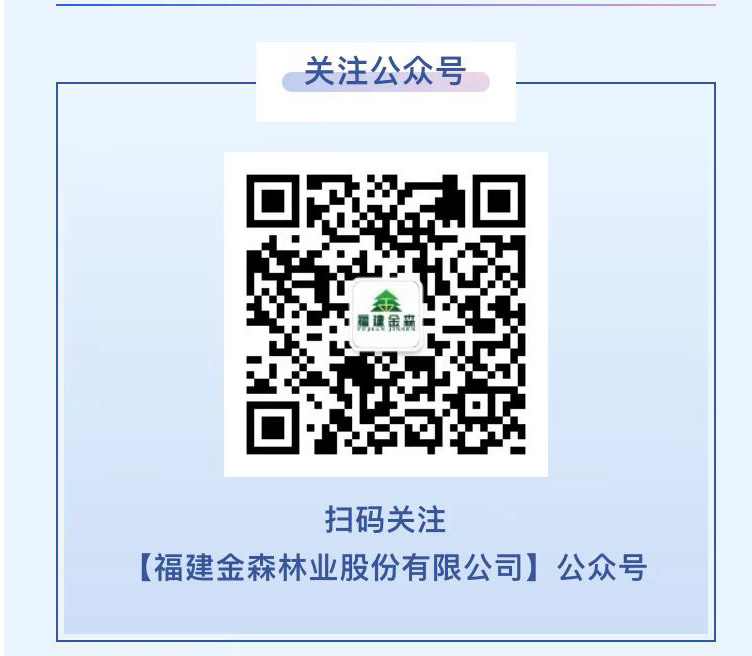 福建金森公众号“投资者关系”专栏正式上线