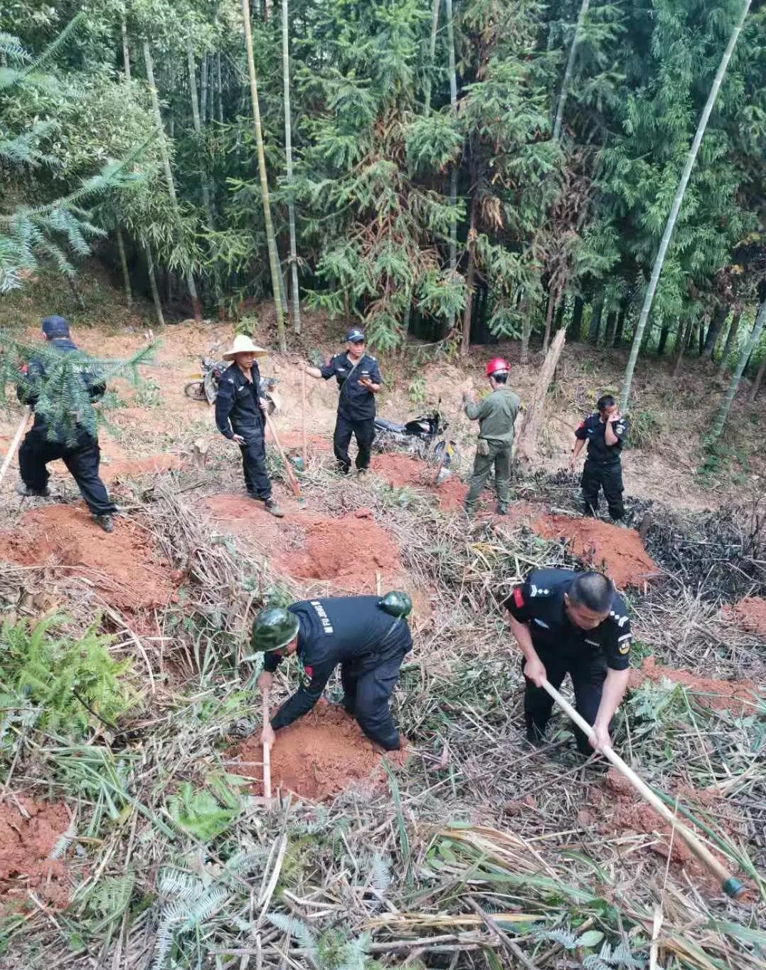 干好每一天|青山挂白我复绿，无私贡献金森人——资源；げ恳逦裢换鞫邮虑榧鞘