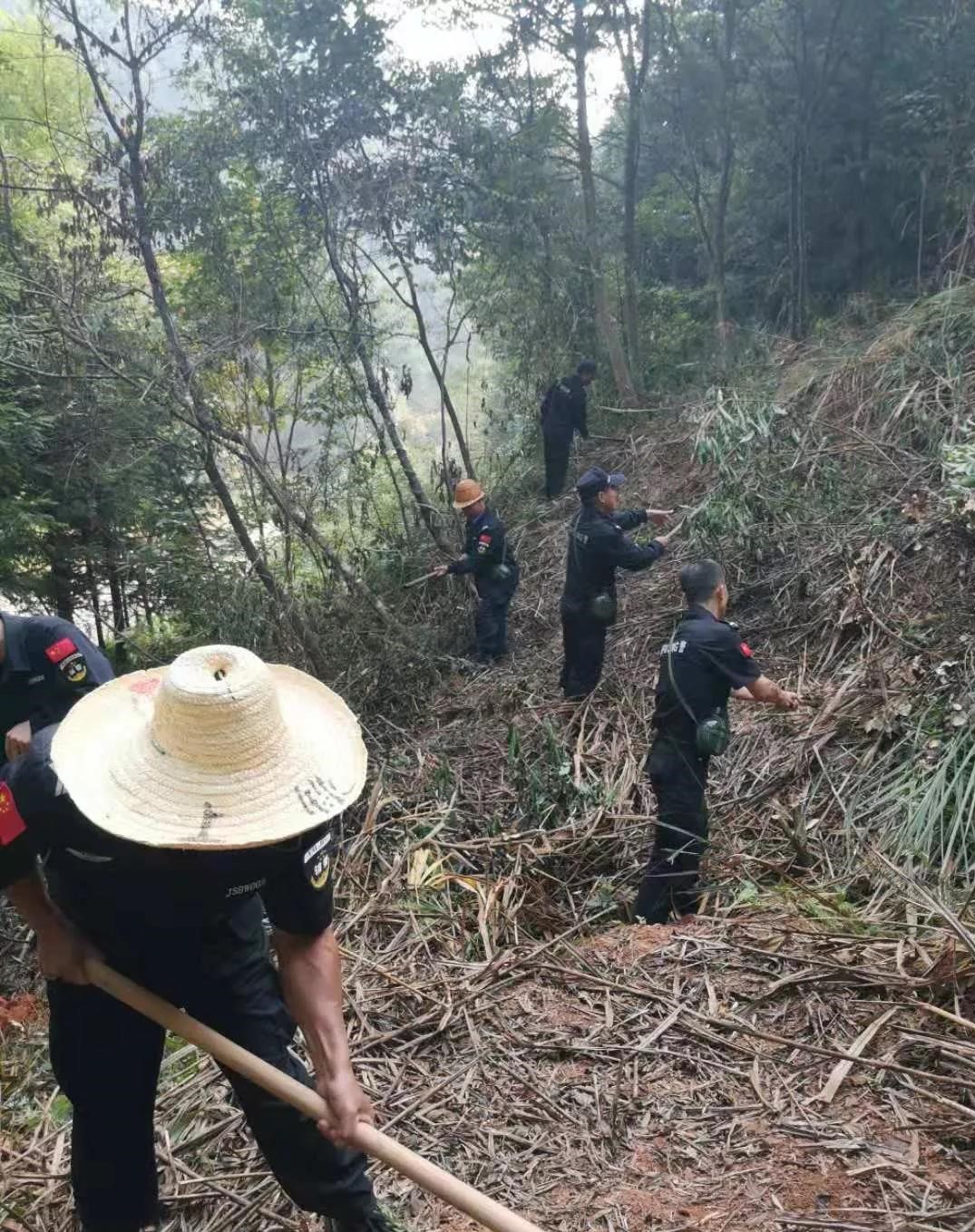 干好每一天|青山挂白我复绿，无私贡献金森人——资源；げ恳逦裢换鞫邮虑榧鞘