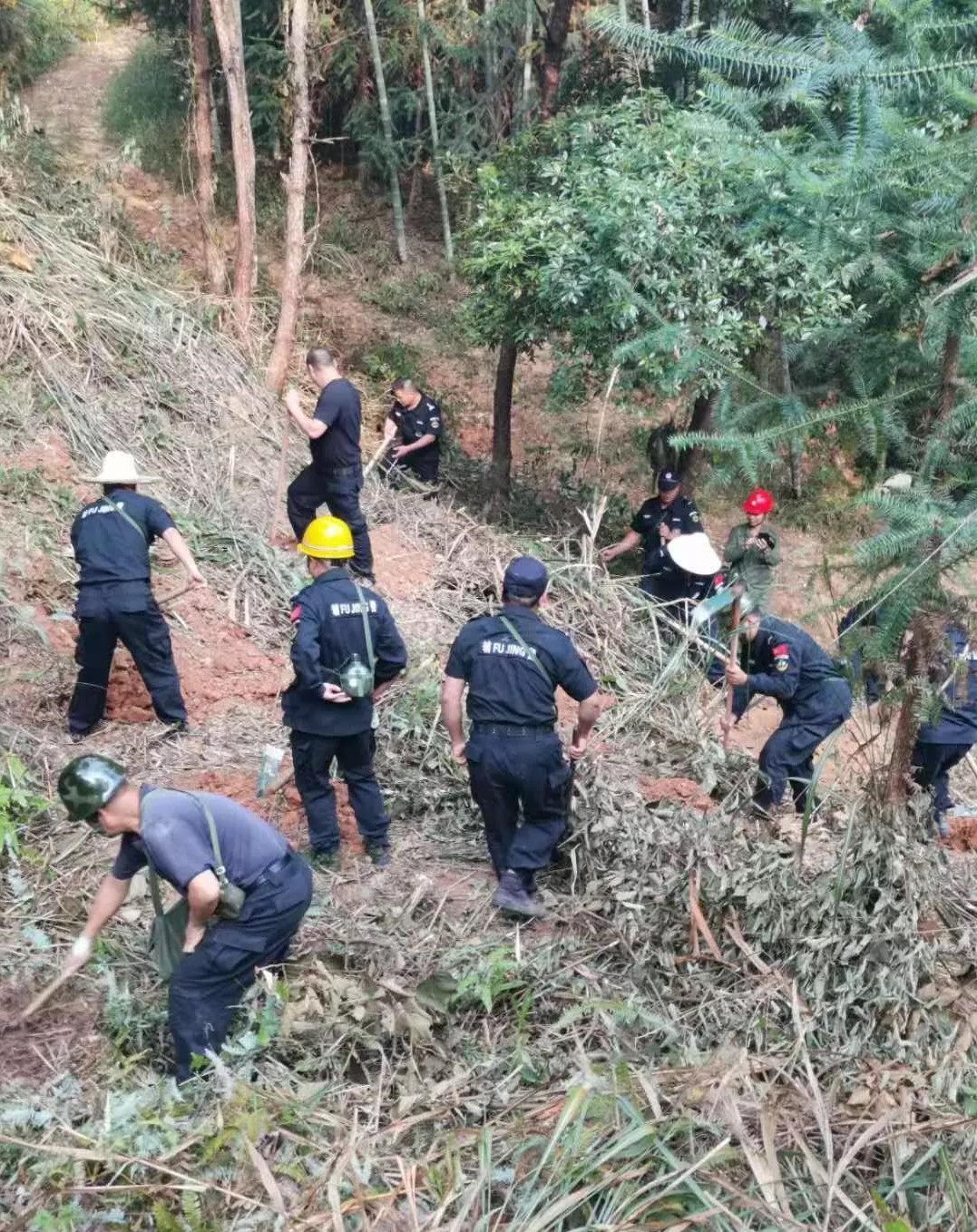 干好每一天|青山挂白我复绿，无私贡献金森人——资源；げ恳逦裢换鞫邮虑榧鞘