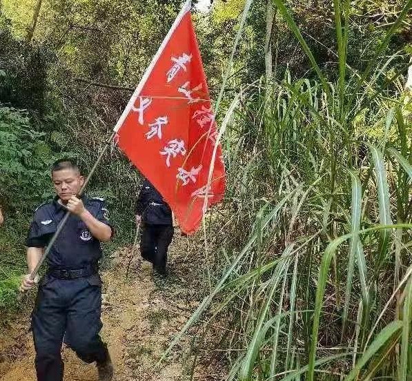 干好每一天|青山挂白我复绿，无私贡献金森人——资源；げ恳逦裢换鞫邮虑榧鞘