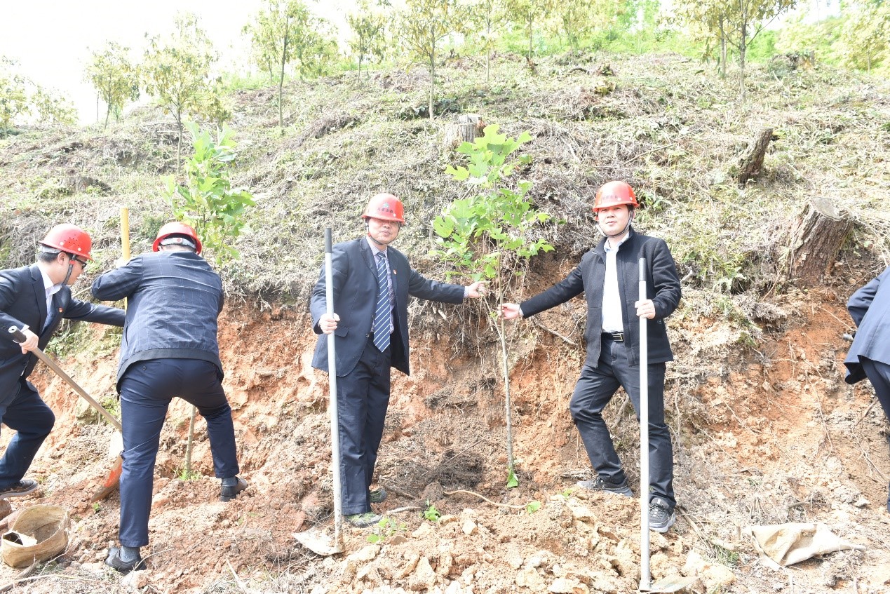 “守护绿水青山，共助墟落振兴” ——农刊行沙县支行与福建金森党总支开展共建运动